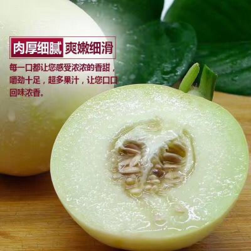 陕西甜瓜，优质甜瓜产地价格品种多质量好。