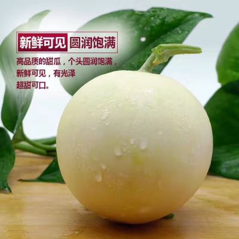 陕西甜瓜，优质甜瓜产地价格品种多质量好。