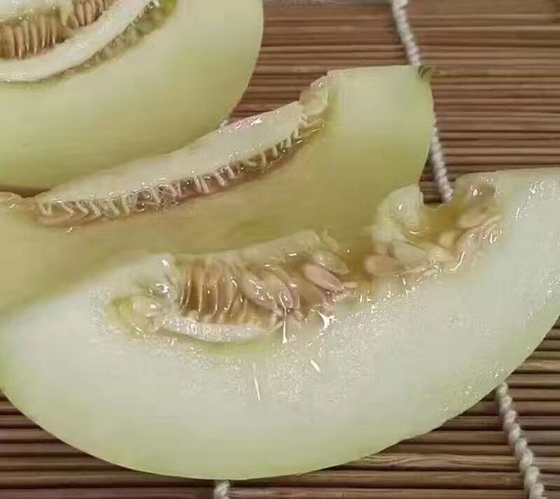 陕西甜瓜，优质甜瓜产地价格品种多质量好。