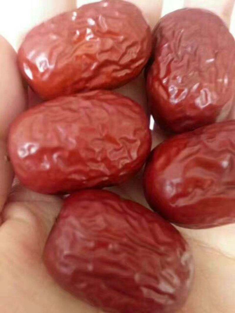 灰枣干枣一级新疆灰枣产地直供大量批发