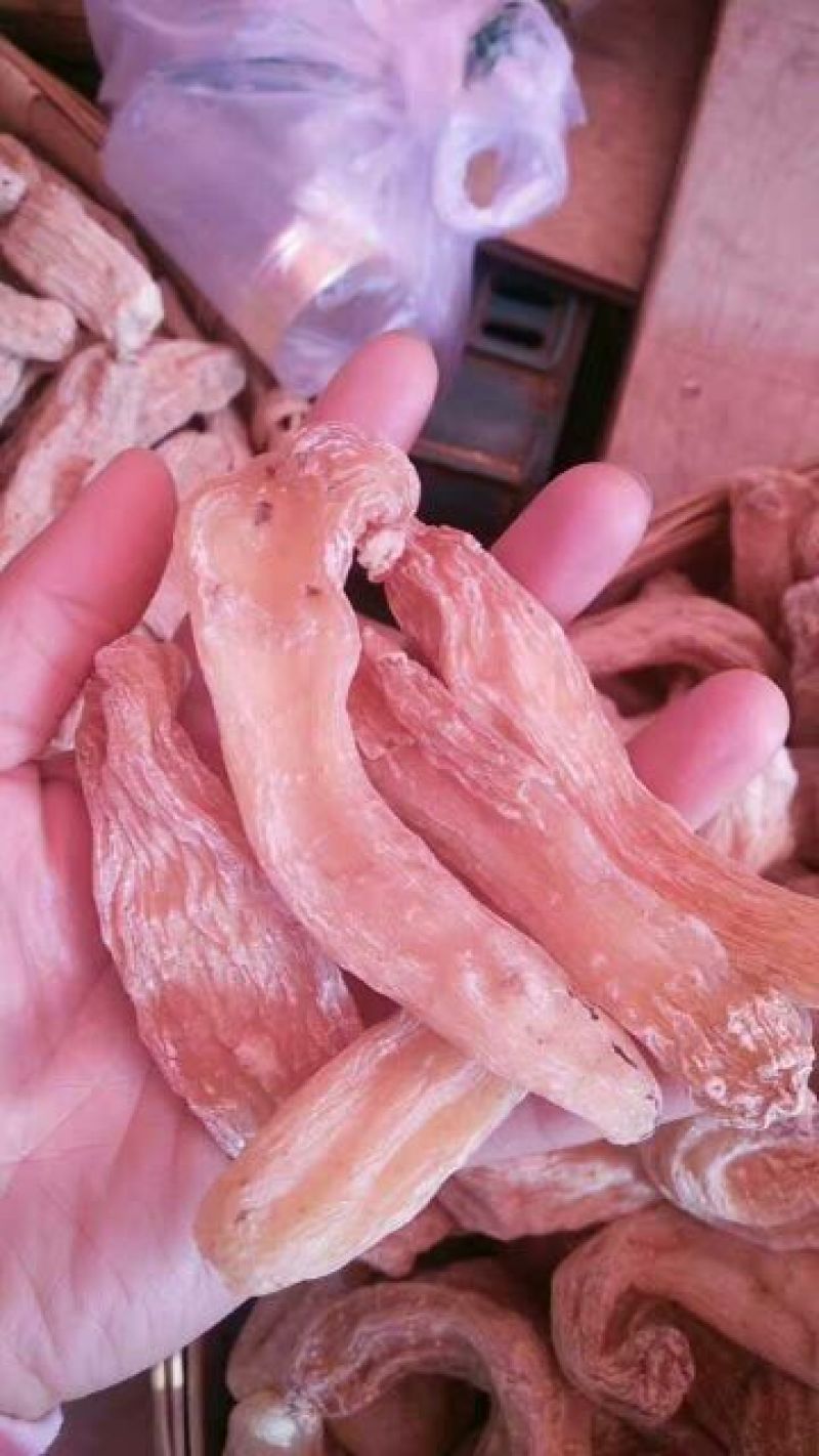 天麻一级