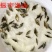 鳜鱼苗3~5cm
