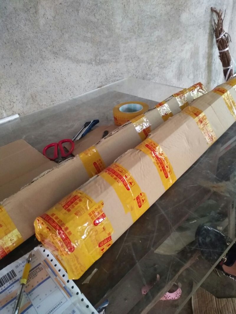 桑树苗台湾四季长果桑大果桑