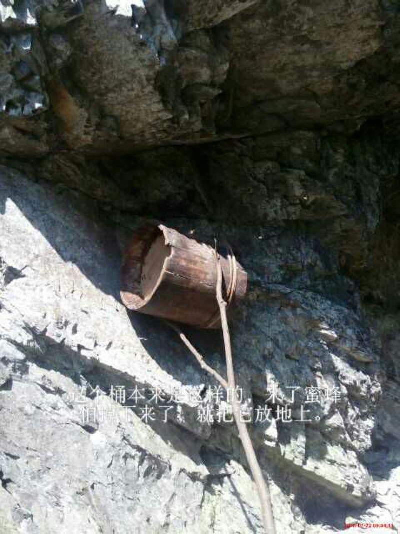 土蜂蜜品质货源正宗深山蜂蜜，可以视频看货