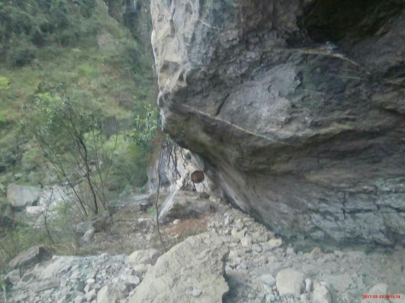 土蜂蜜品质货源正宗深山蜂蜜，可以视频看货