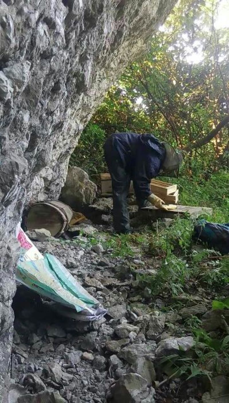 土蜂蜜品质货源正宗深山蜂蜜，可以视频看货