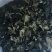 黑木耳一级
