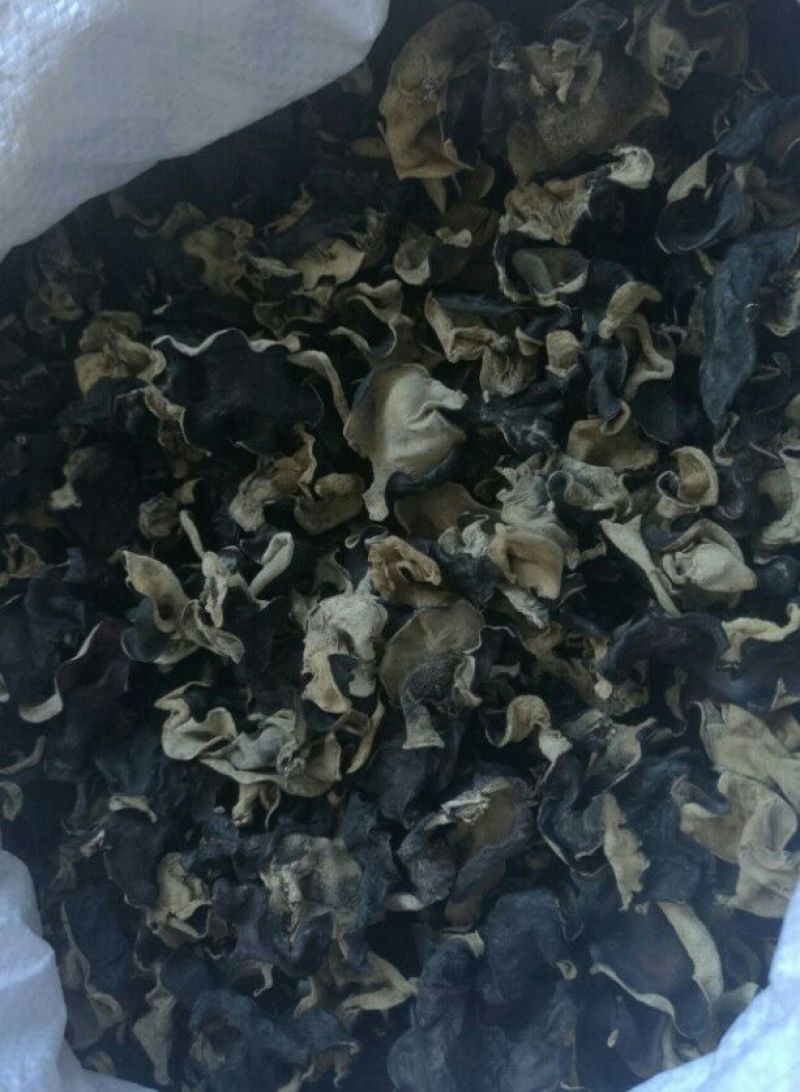 黑木耳一级