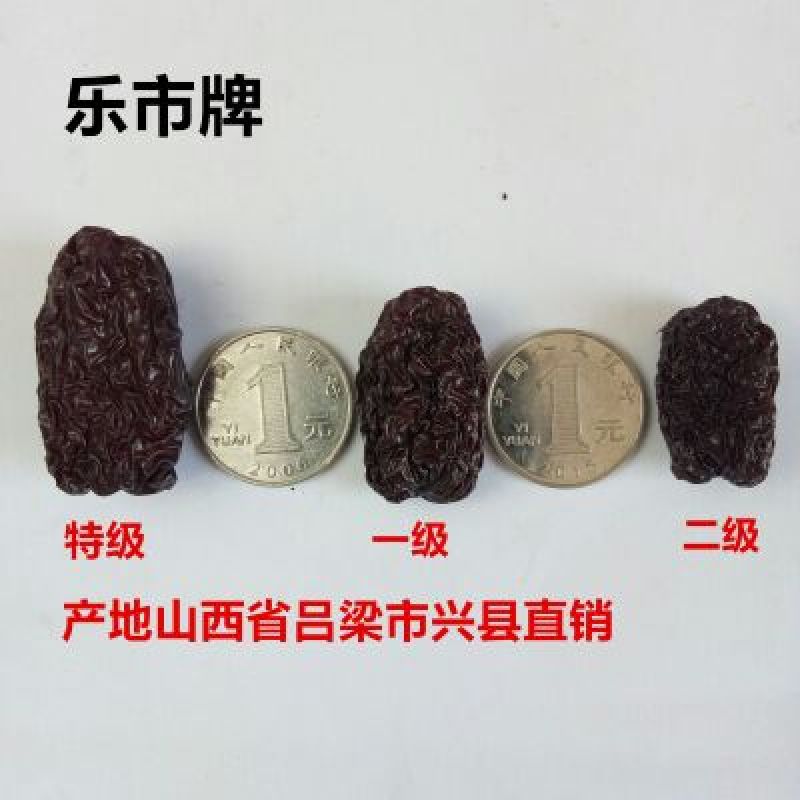 乌枣一级干枣乐市黑枣