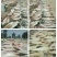 红虾干