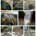 红虾干
