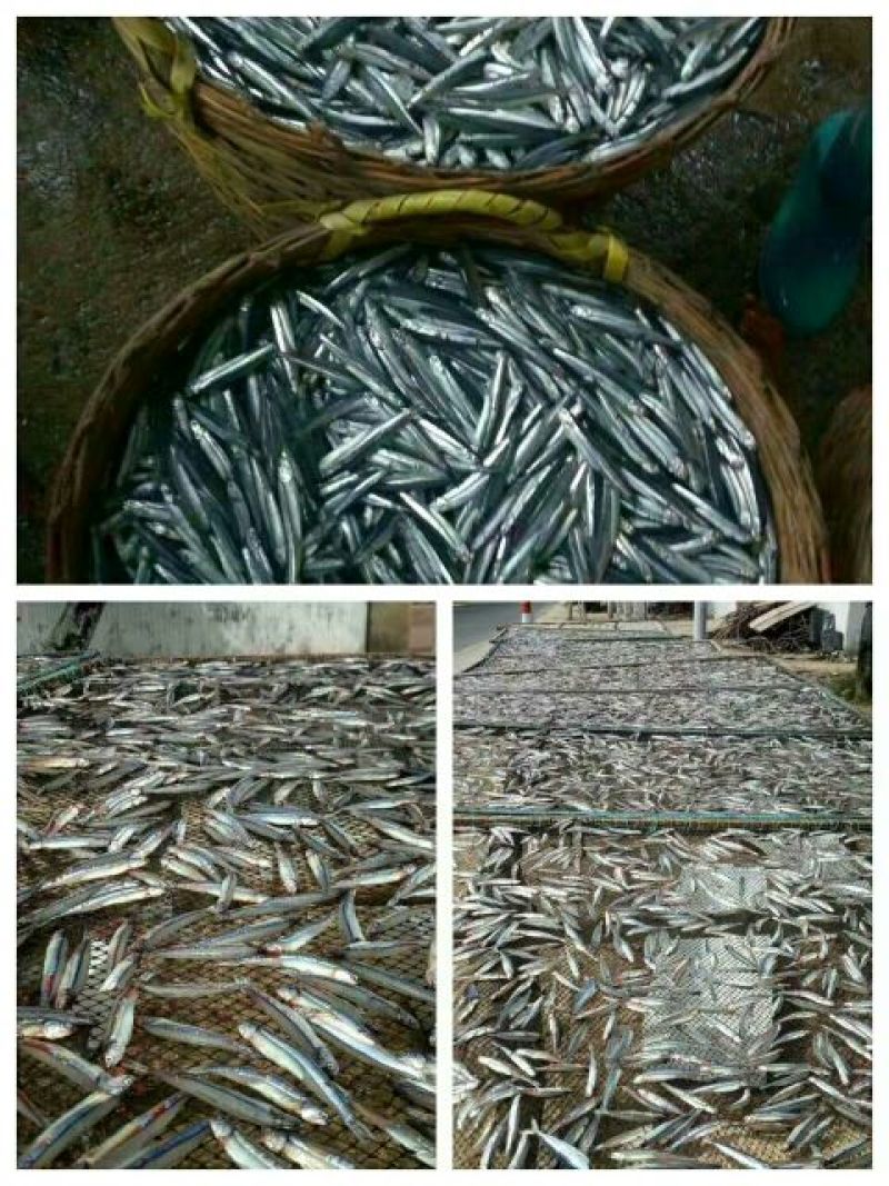 红虾干