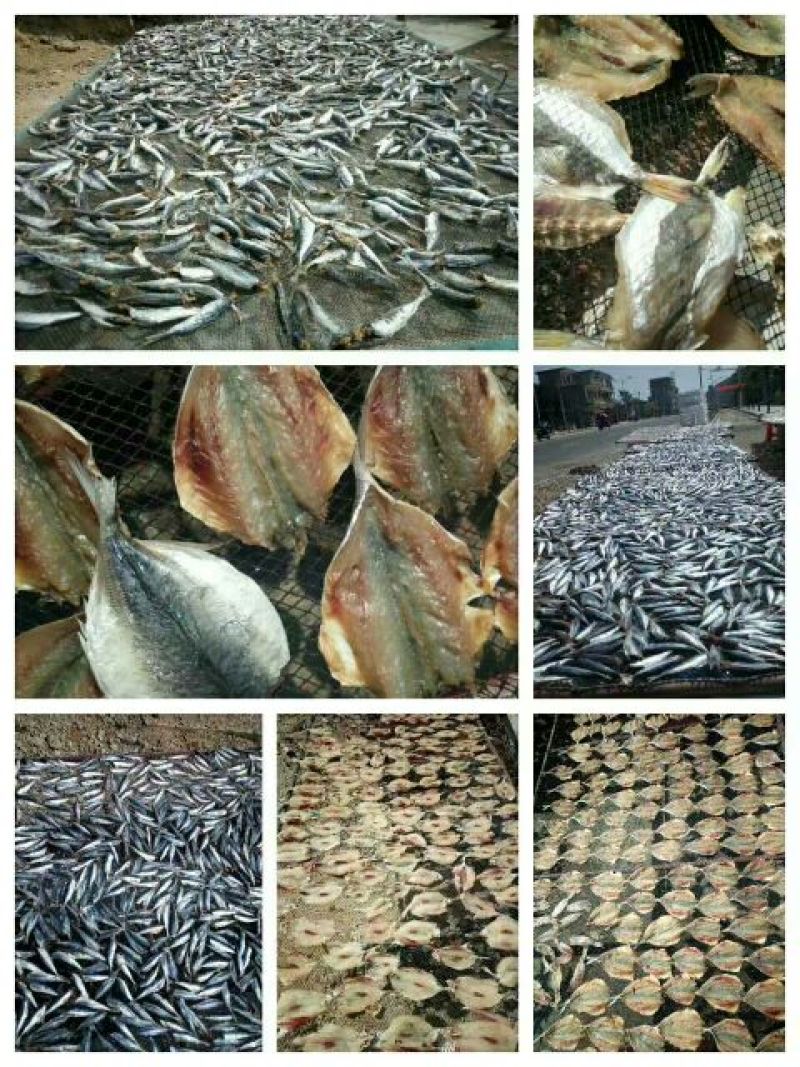 红虾干