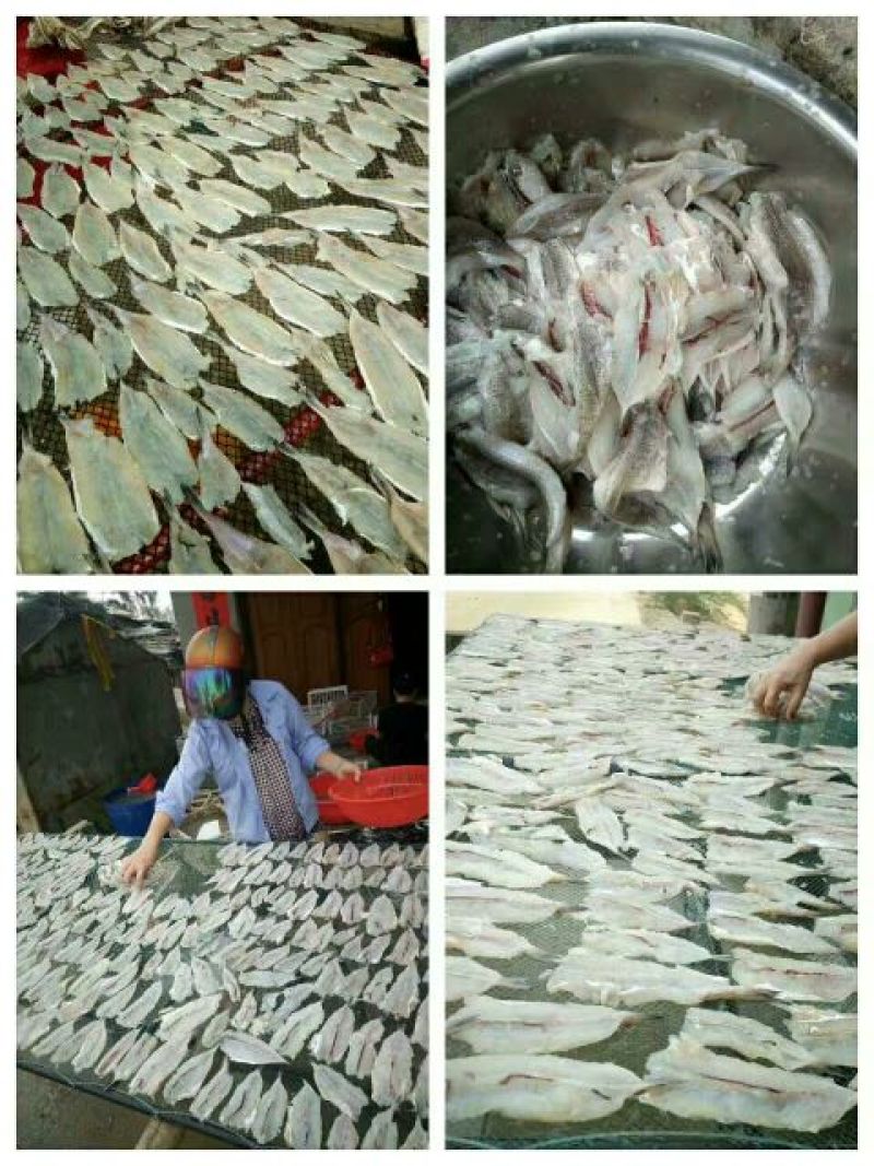 红虾干