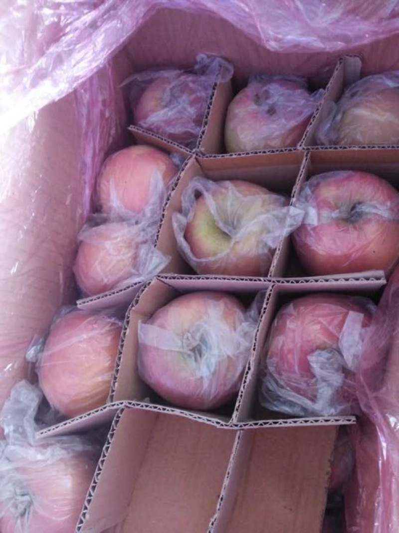 红富士苹果香甜可口舌尖美味
