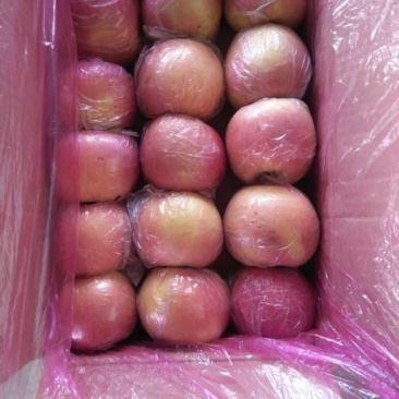 红富士苹果香甜可口舌尖美味