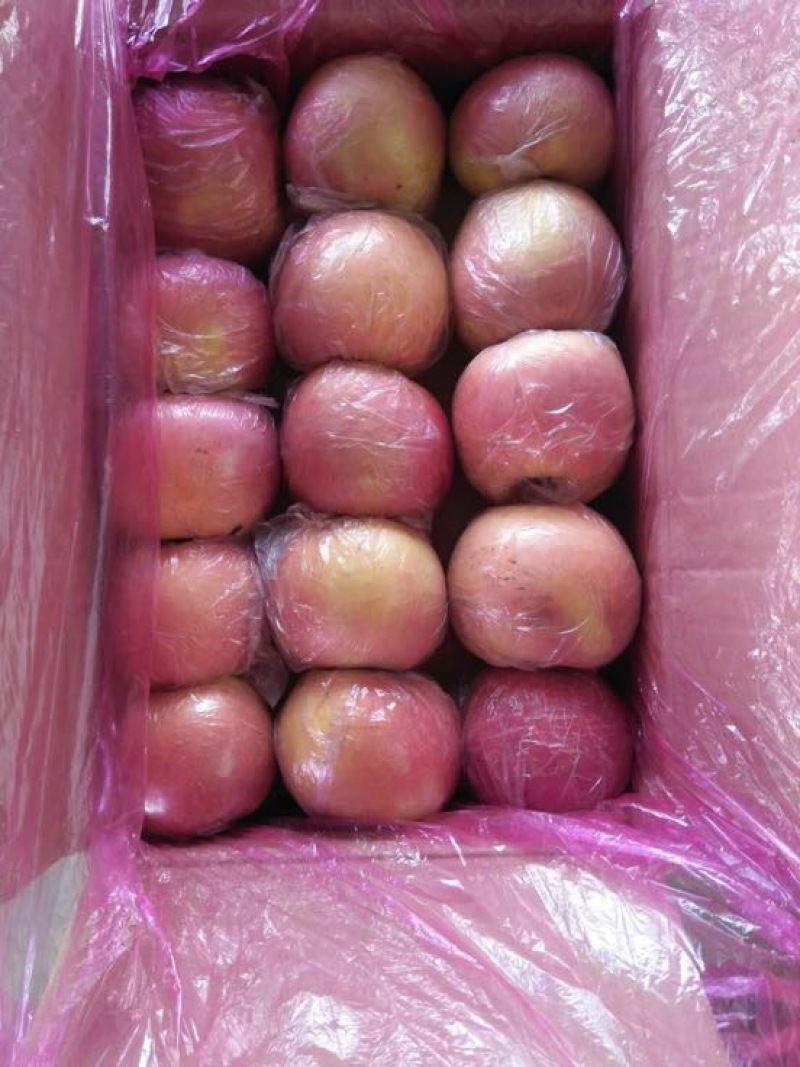红富士苹果香甜可口舌尖美味