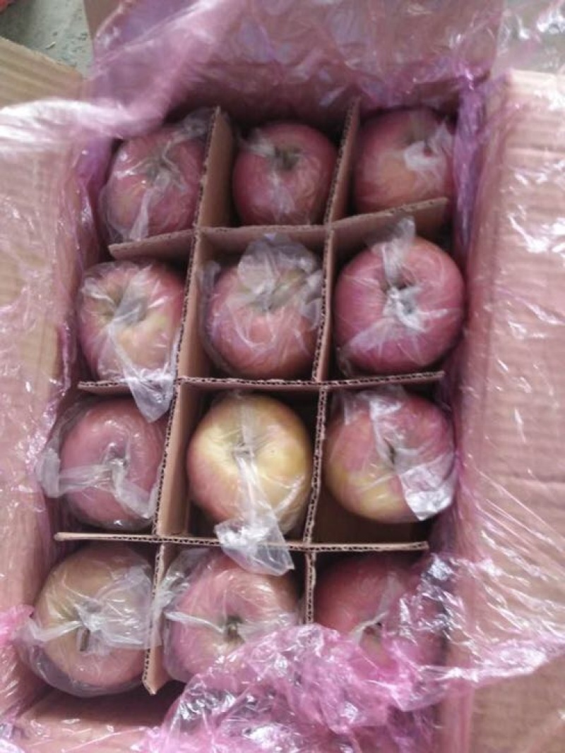 红富士苹果香甜可口舌尖美味