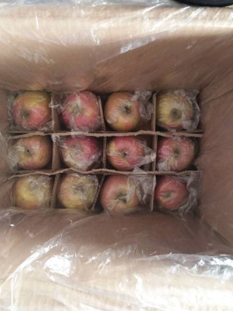 红富士苹果香甜可口舌尖美味