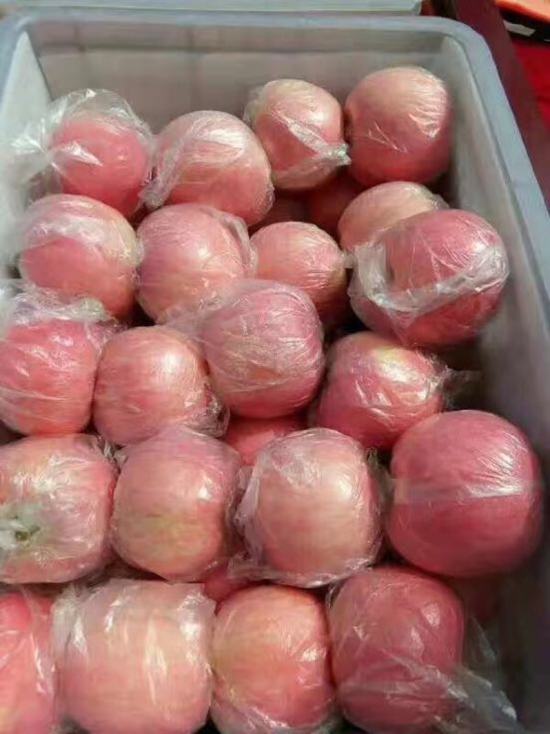 红富士苹果香甜可口舌尖美味
