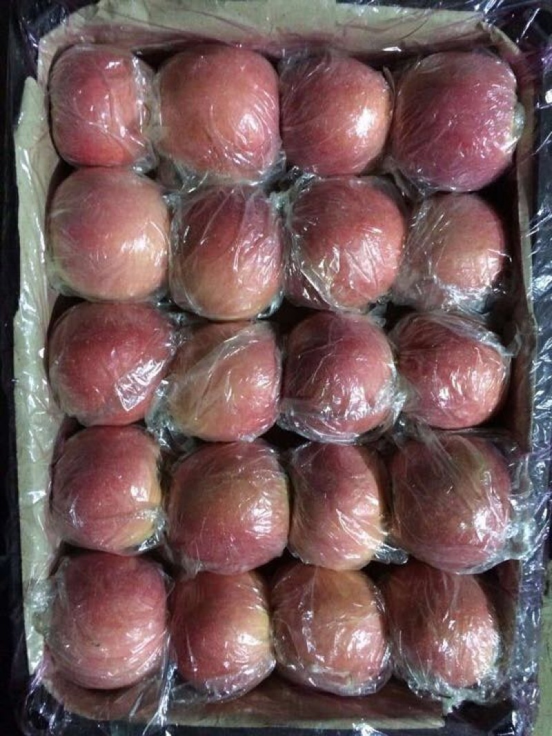 红富士苹果香甜可口舌尖美味
