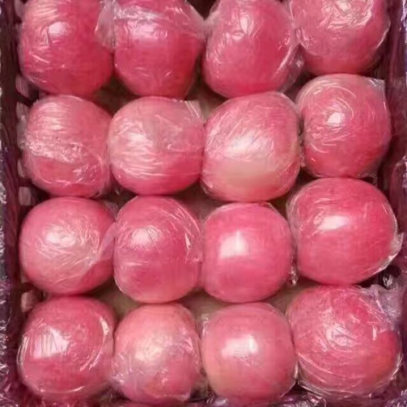 红富士苹果香甜可口舌尖美味
