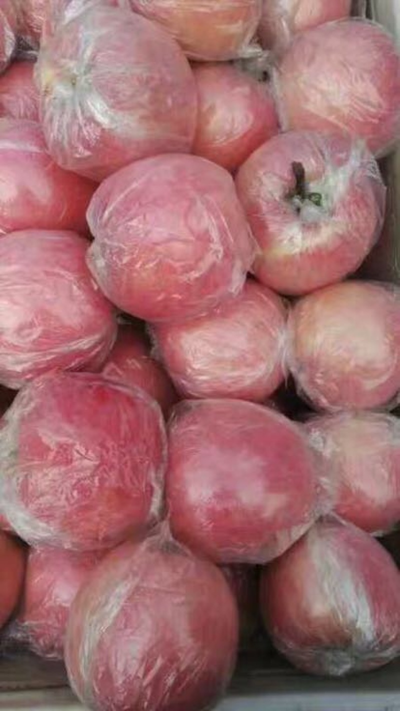红富士苹果香甜可口舌尖美味