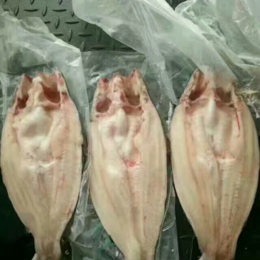 龙利鱼冷冻