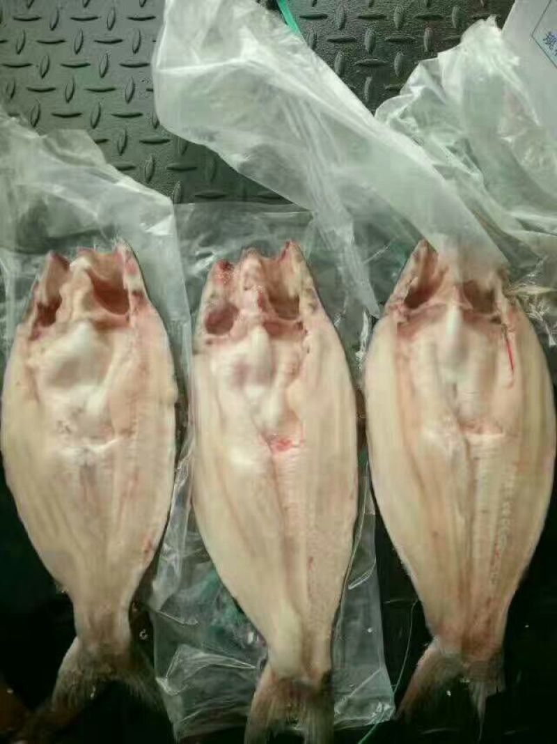 龙利鱼冷冻