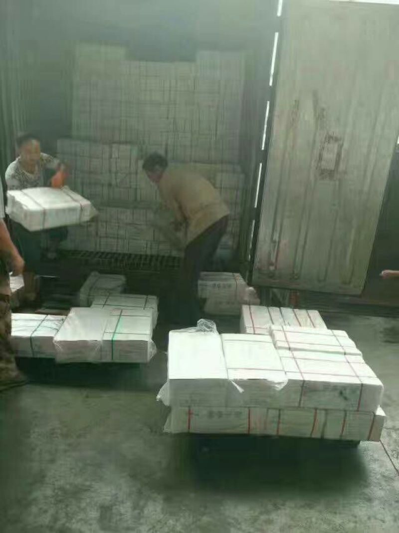 龙利鱼冷冻