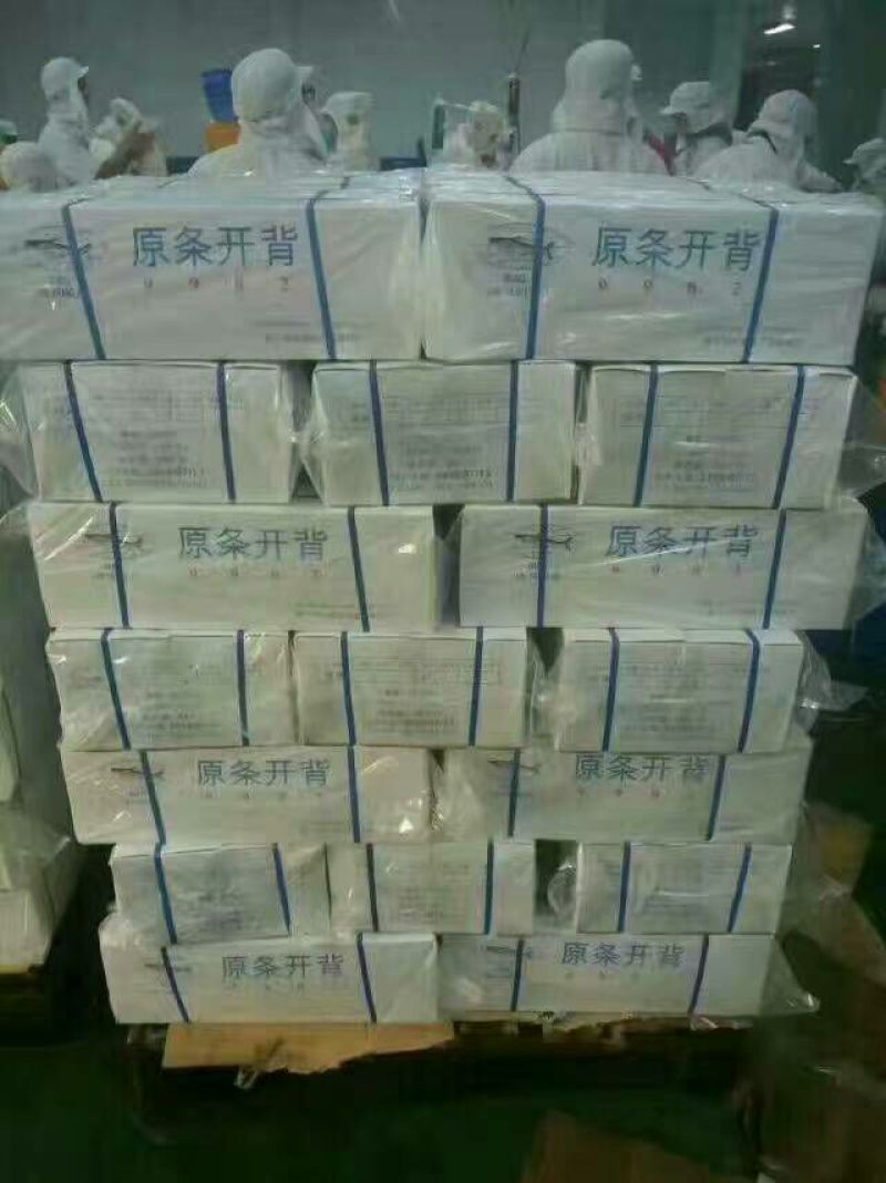 龙利鱼冷冻