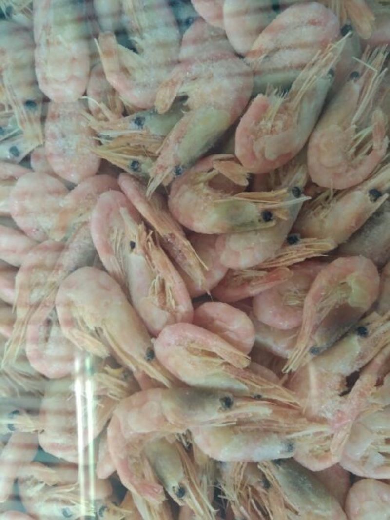 龙利鱼冷冻