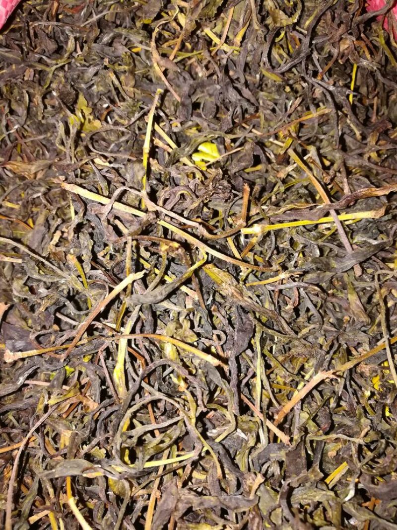老树茶三级