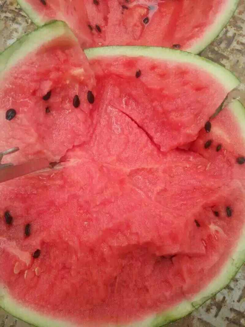 西瓜京欣甜王产地直供个大皮薄