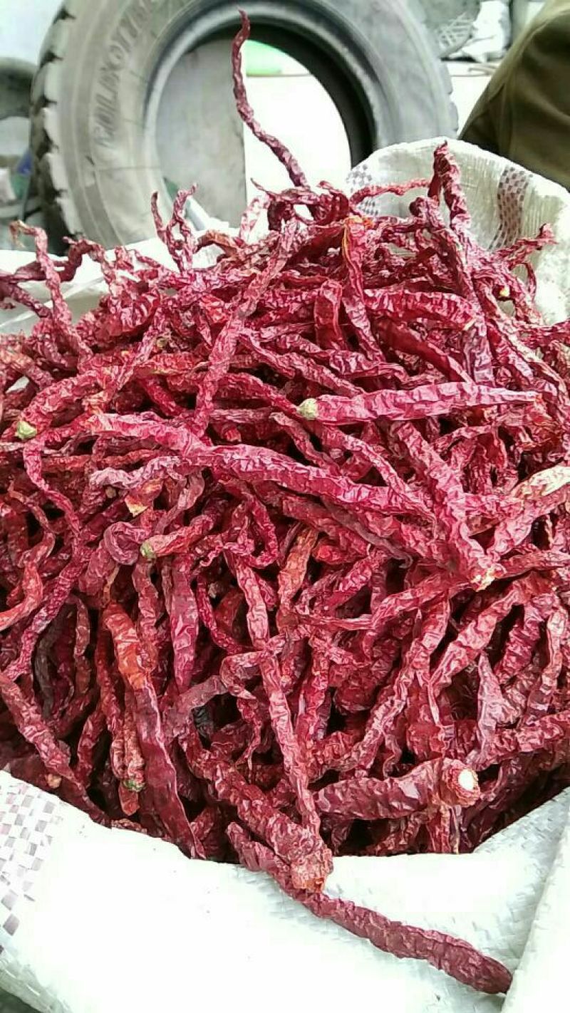 干辣椒精品9成干以上