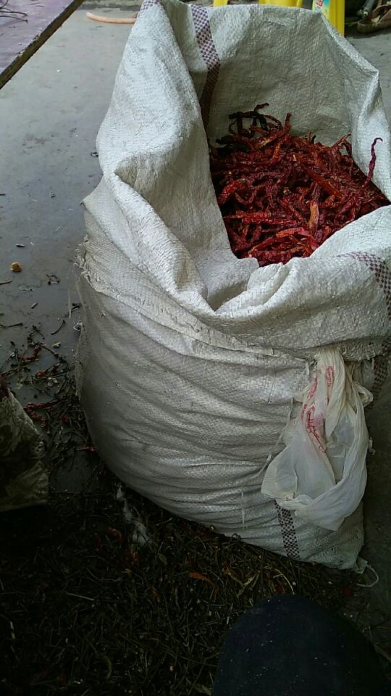 干辣椒精品9成干以上