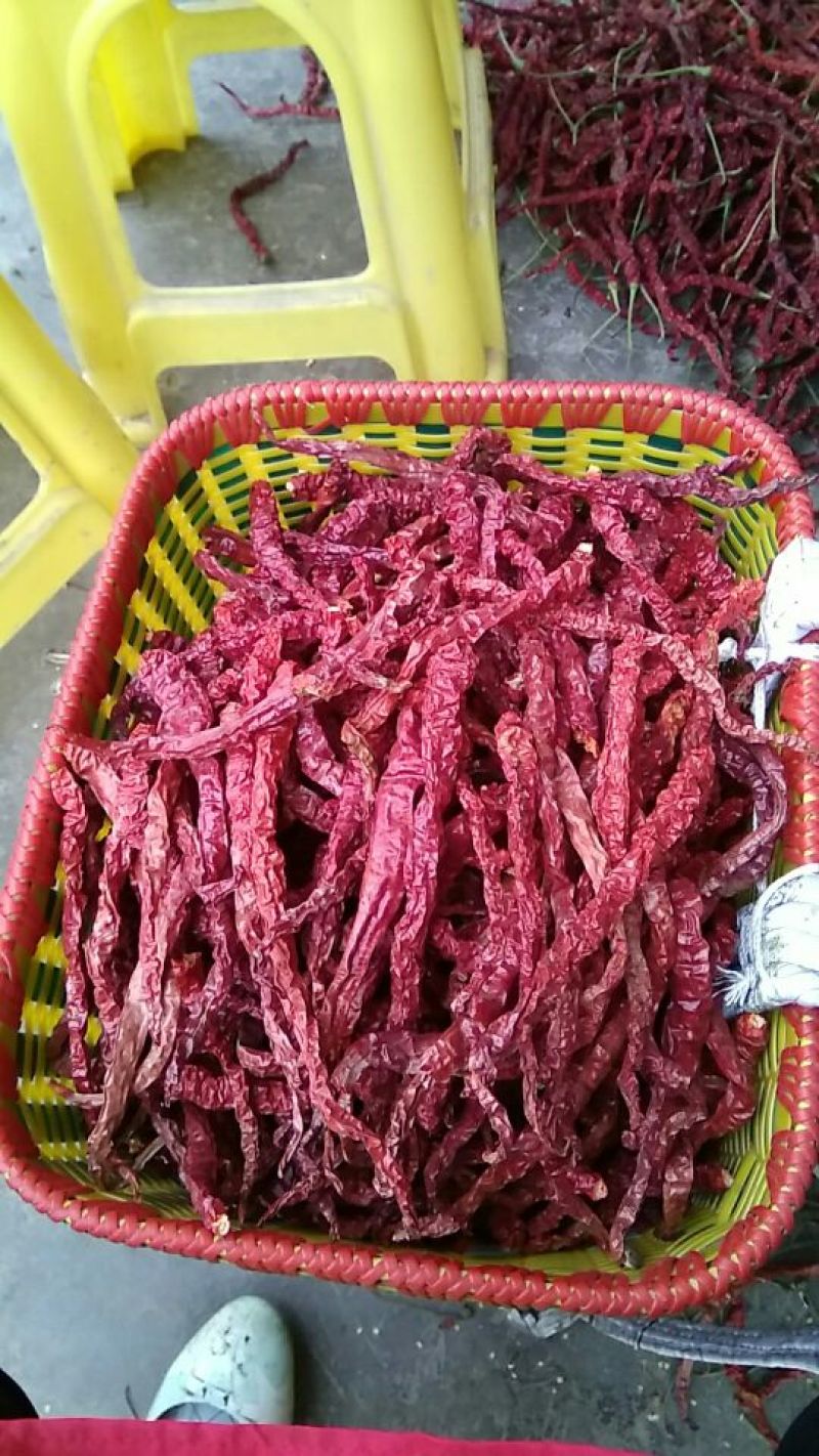 干辣椒精品9成干以上