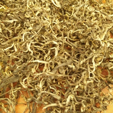 古树普洱茶一级