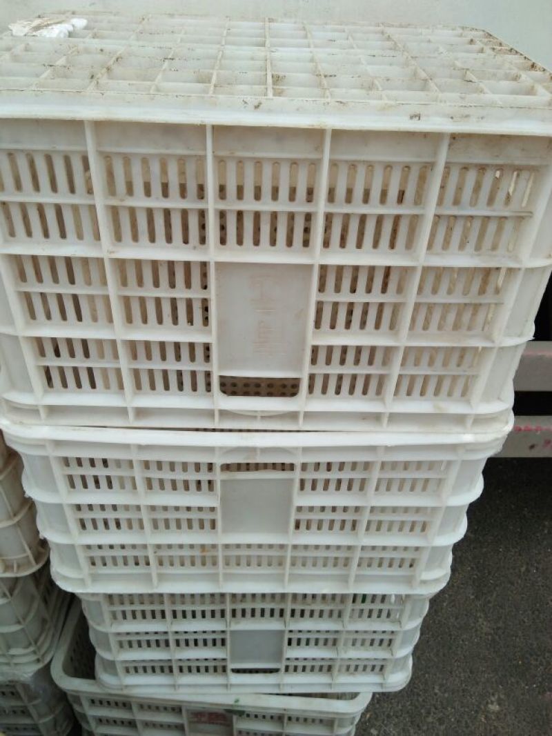 塑料筐外：525*360*300内：490*320*28