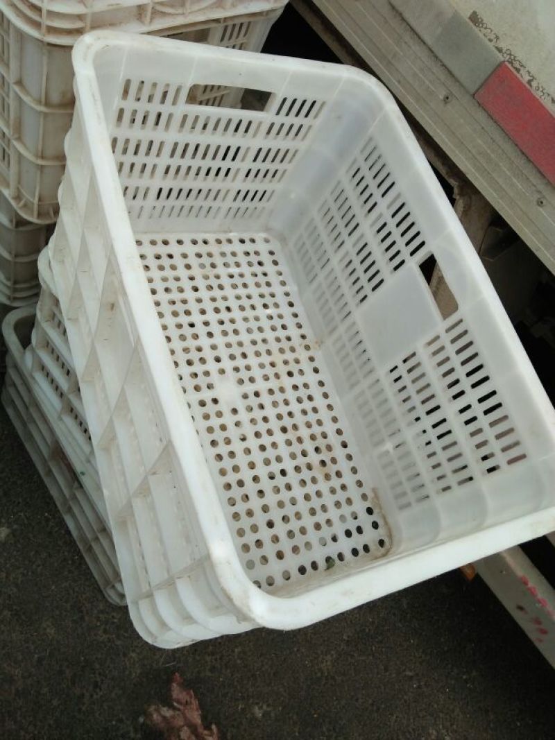 塑料筐外：525*360*300内：490*320*28