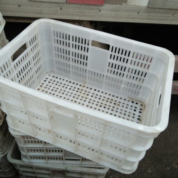 塑料筐外：525*360*300内：490*320*28