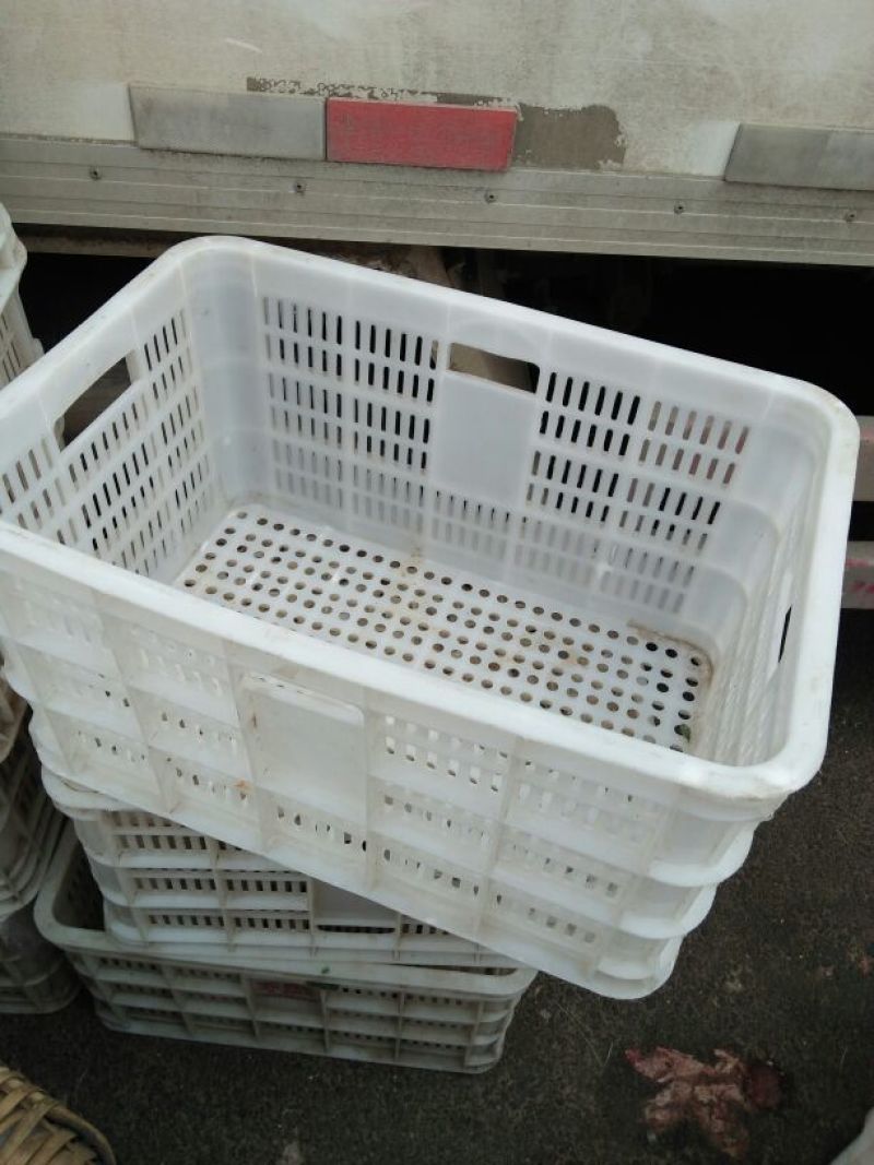 塑料筐外：525*360*300内：490*320*28