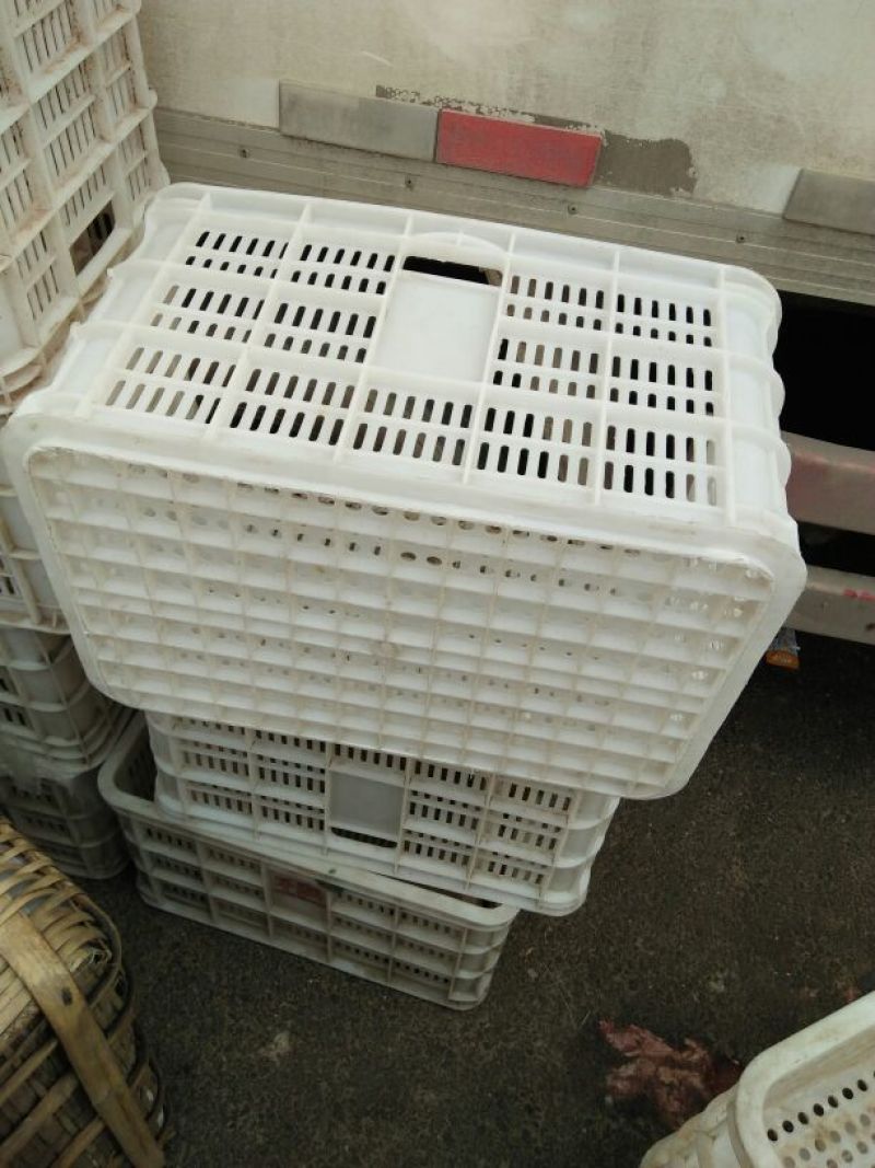 塑料筐外：525*360*300内：490*320*28