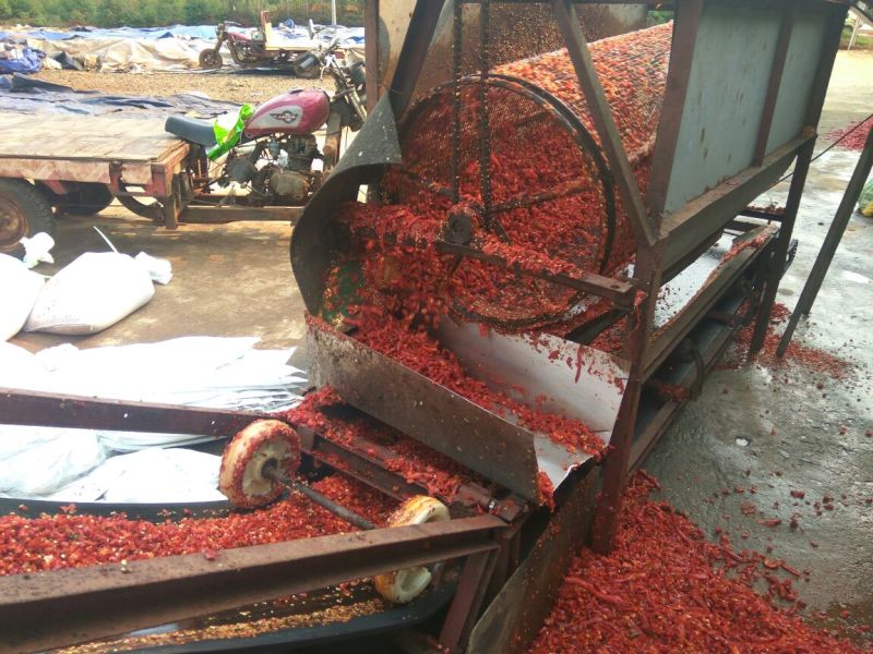 鲜红辣椒加工剁椒，红红椒红尖椒大量供应