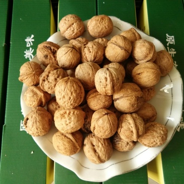 山核桃去皮干