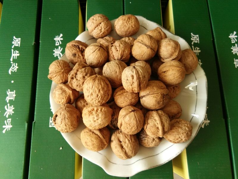 山核桃去皮干