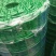 荷兰网50*50mm