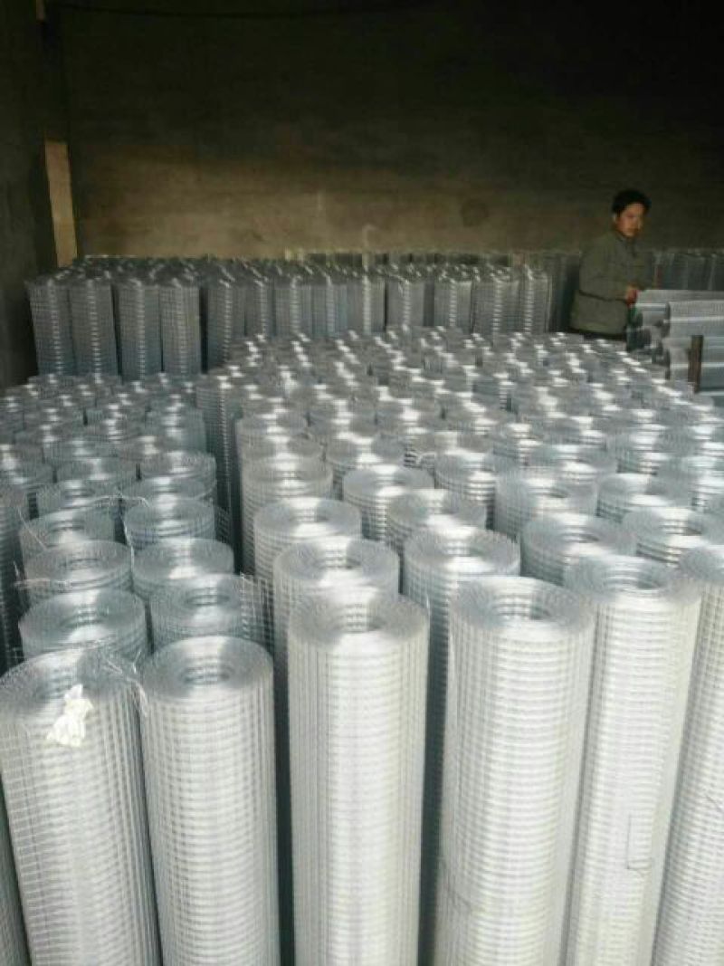 荷兰网50*50mm