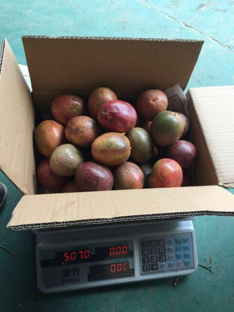 百香果60~70g紫果