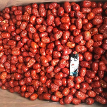 灰枣鲜枣三级